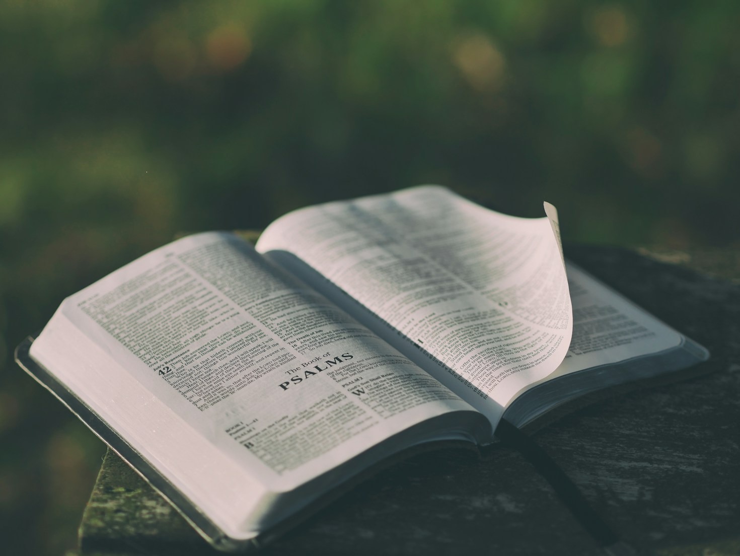 Histórias inspiradoras nos títulos da Editora Firmamento